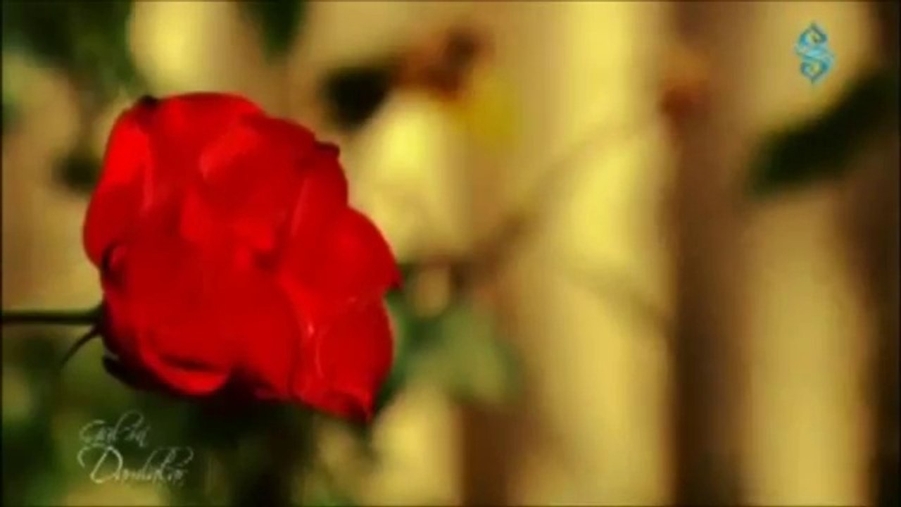 Allah'ım, Affını Diliyorum // Dursun Ali Erzincanlı