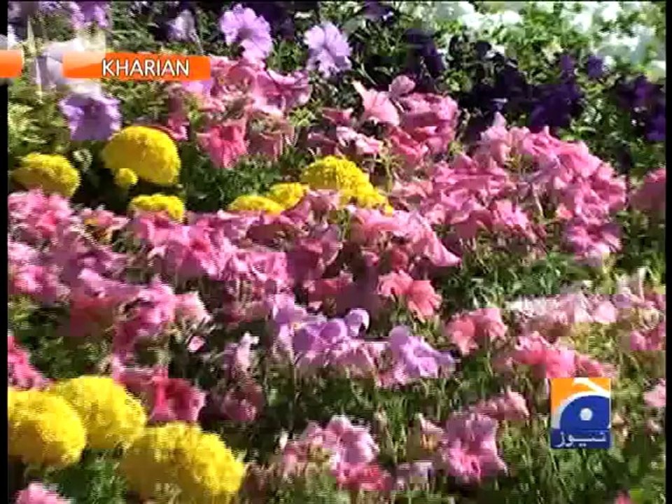 Flower Show-11 April 2014