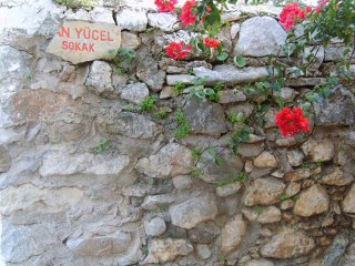 BOŞ VER BE YAŞI BAŞI Can Yücel