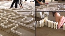 Witness 10,000 Dominos Act Like A Computer