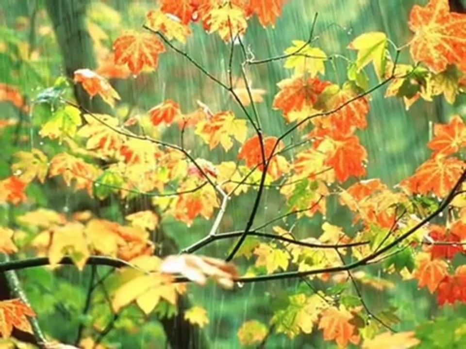 yaşamak zamanı can yüce