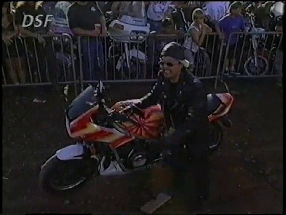 Hog Wild 1996 - German - Part 2