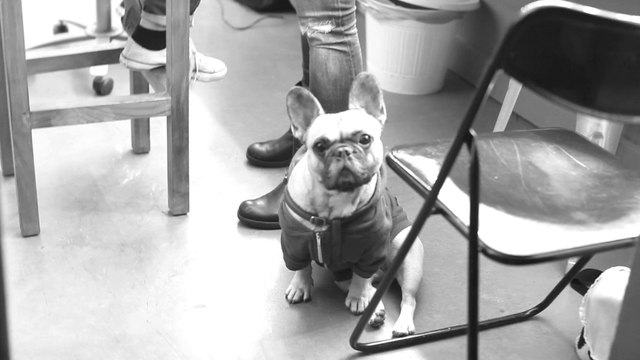 Plastiscines - Blue Jeans (Clip Officiel)