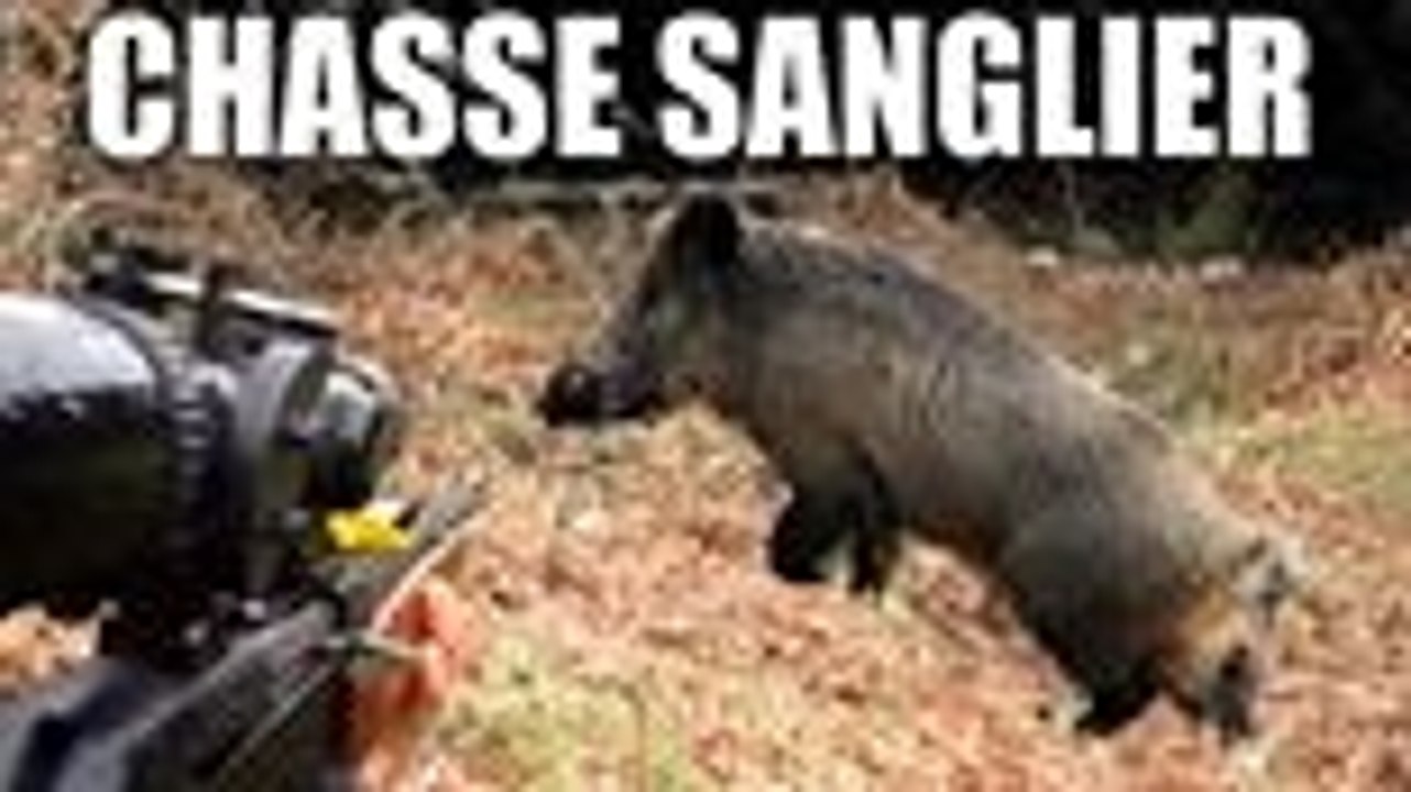 Chasse aux sangliers : trilogie partie 3 épisode 1