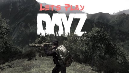 Let's Play Together: DayZ - NooBs gonna DIE [DE | FullHD]
