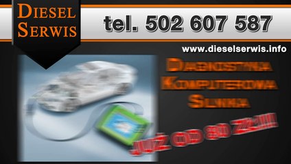 diesel serwis Poznań Plewiska