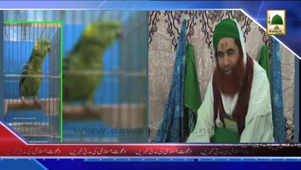 (News 09 March) Package - Madani Muzakra Of Ameer e Ahle Sunnat