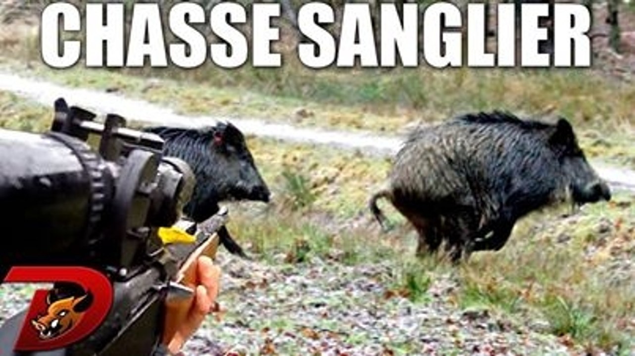 Chasse aux sangliers : trilogie partie 3 épisode 2