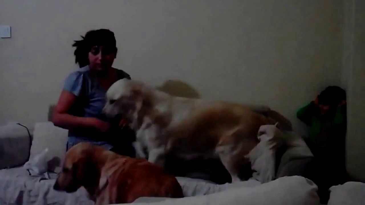 En turquie, un chien tente d'empêcher une mère de famille qui fait semblant de frapper sa fille.