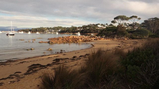 Australie-Tasmanie: Freycinet National Park au petit matin.