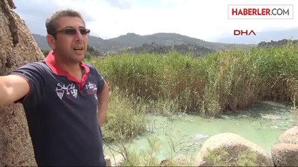 Bafa Gölü'ndeki Kirlilik Balıkçılardan Sonra Turizmcileri de Bitirdi