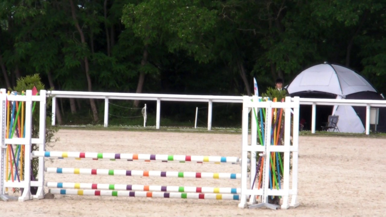 CCJP Le lion 25 Mai 2014 ALASKA