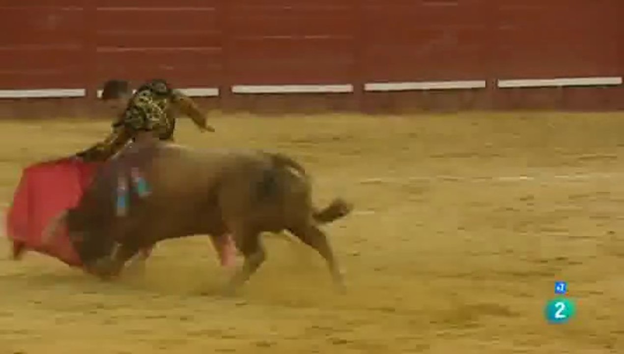 Jerez 14