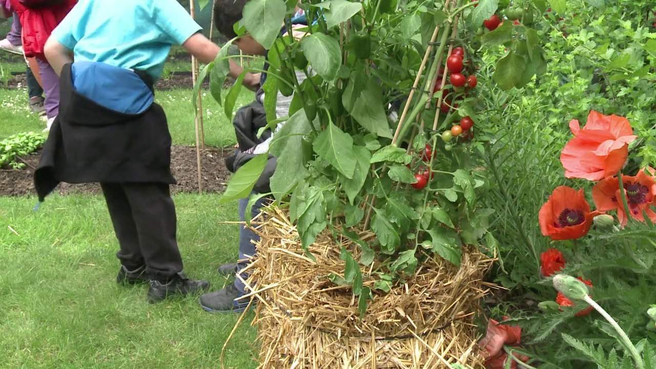 "Rendez-vous aux jardins": découverte du patrimoine vert français