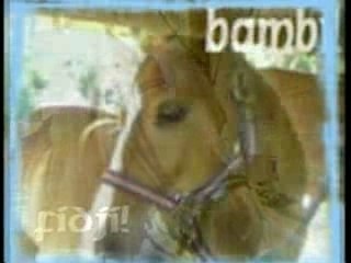 les écuries du caribou