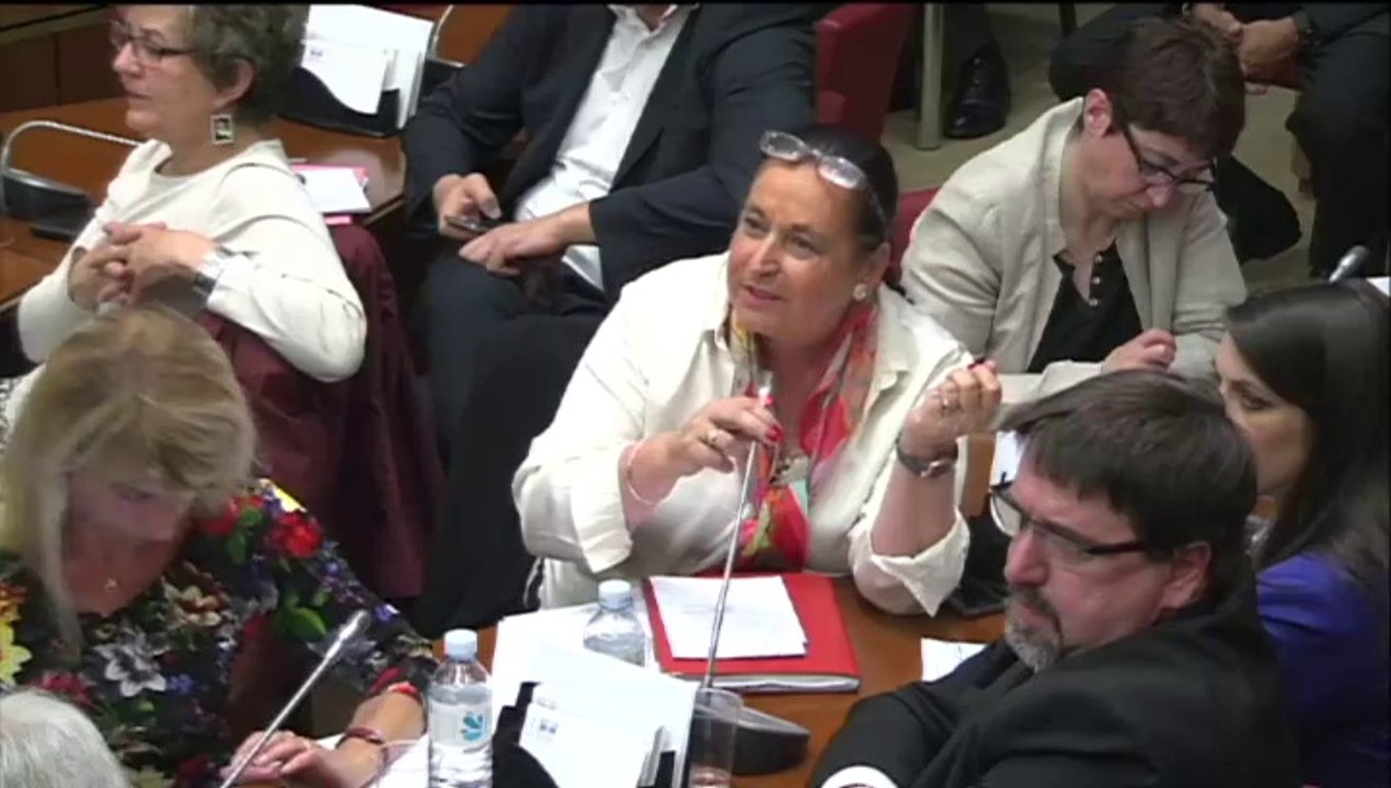 28/05/14 Intervention de Martine FAURE - Commission des Affaires Culturelles