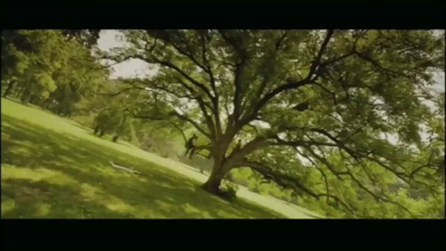 Ces amours-là - Bande annonce