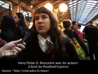 La Pottermania à travers le Web