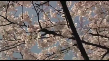 Le soldat dieu - Bande annonce