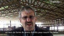 Bill Couser - Fermier, exploitant d'une usine de bio-ethanol