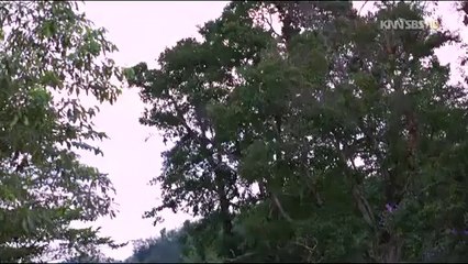 대림핸플【Uhmart-넷】간석핸플『유흥천국-유흥마트』≥둔산동핸플≥