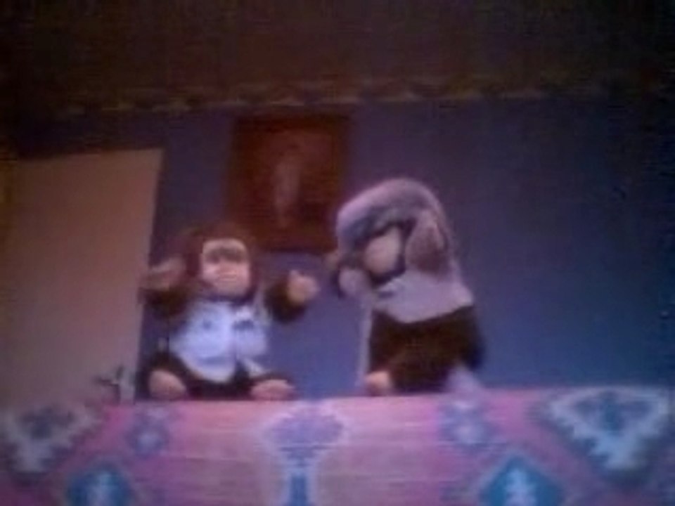 Dialogue de singes