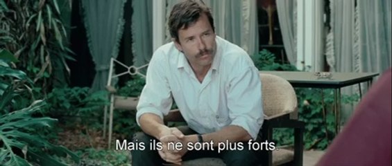 Animal Kingdom - Bande annonce