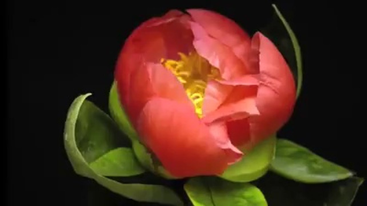 MAKING OF FLOWER