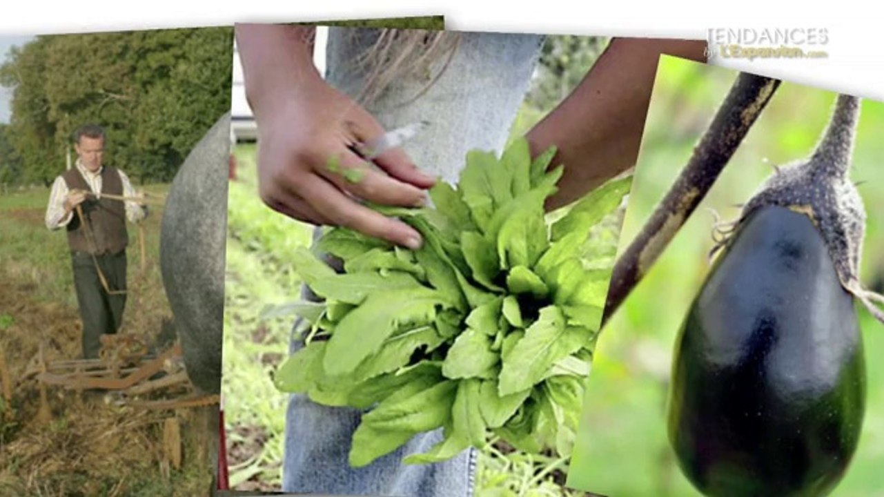 Les tendances selon Alain Passard