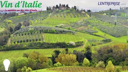 1 minute /1 idée / Wyyne