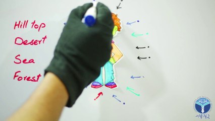 Atmosperic Pressure - Comprehension & Application