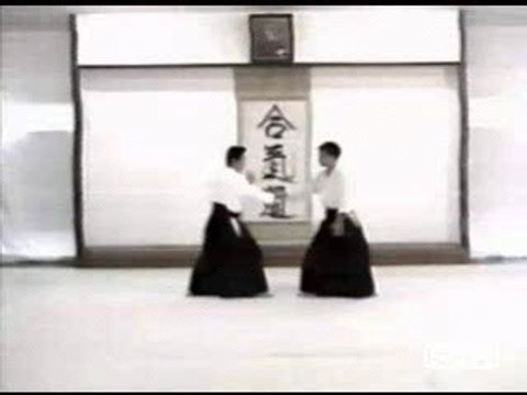 ai hammi katate dori - irimi nage