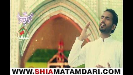Zainab sa ki sana Manqabat by Own Rizvi ShiaMatamdari.com
