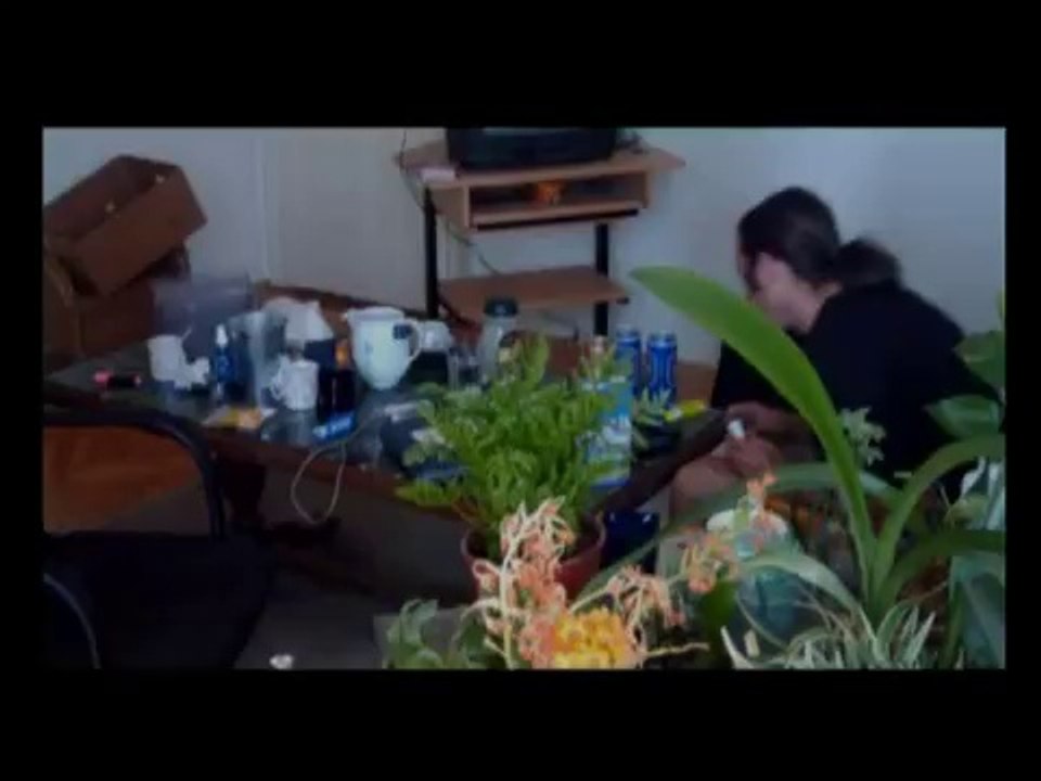 CINEPHONE 2014 : PRESENT