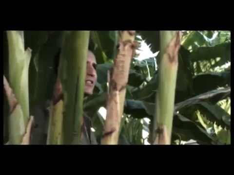 Yana Yakıla (Rafet El Roman)