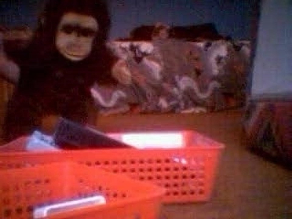 attaque d'éléphant