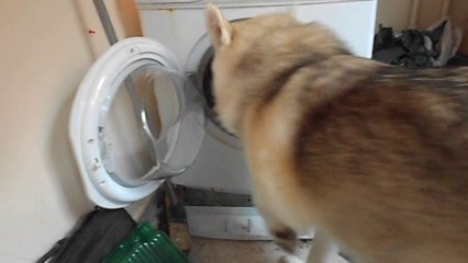 Picking up dropped laundry