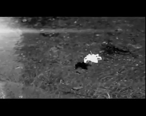 Sadem (Soner Sarıkabadayı)