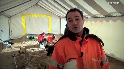 VIDEO. Un squelette de mammouth en parfait état découvert en région parisienne