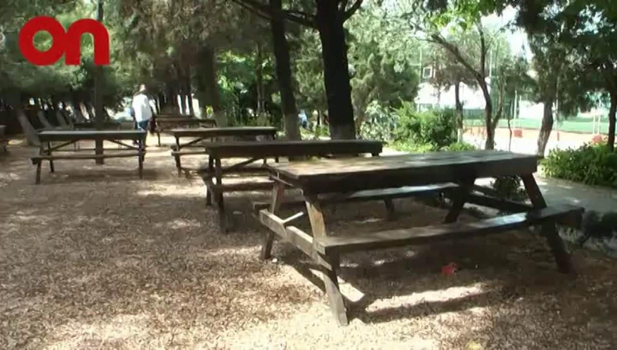 Piknik Alanı