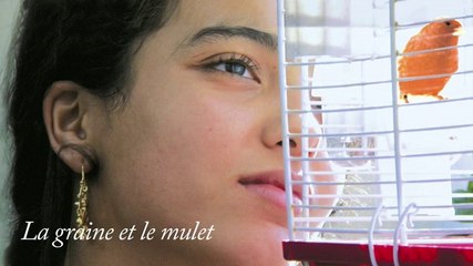 Faut-il aller voir La vie d'Adèle?