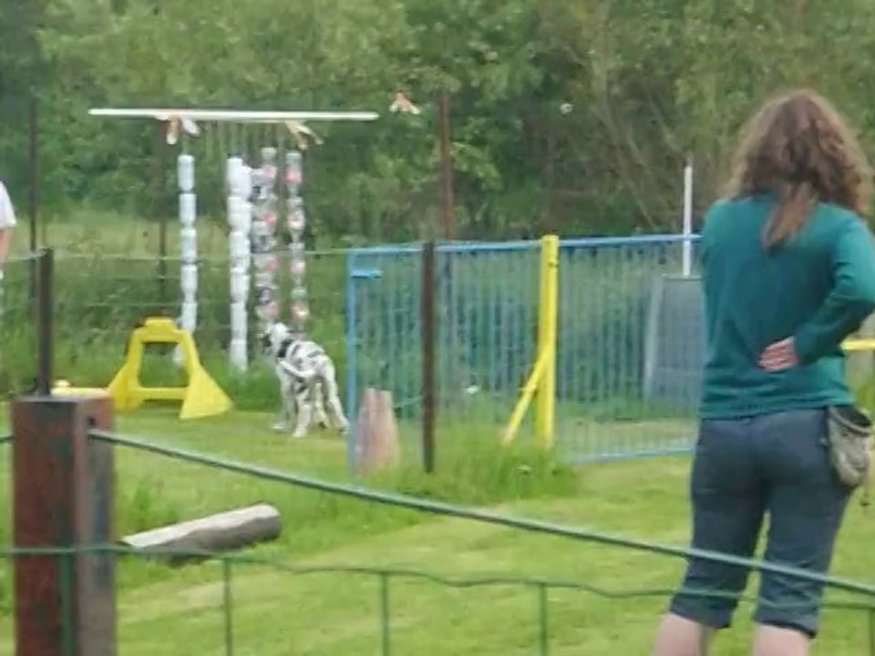 nenuko dois me trouver dans l'autre terrain ou je suis cachée 31.05.2014