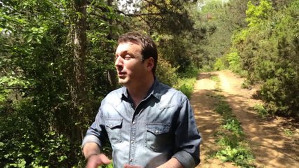 Onay Sahin - Ne anam var ne babam