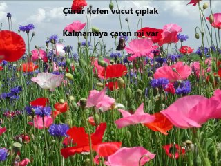 Cemal Kuru Gururlanma İnsanoğlu