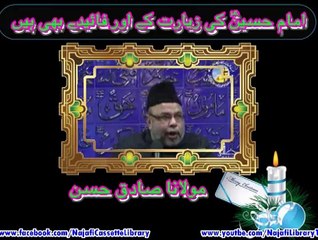 امام حسینؑ کی زیارت کے اور فائیدے بھی ہیں ۔ مولانا صادق حسن