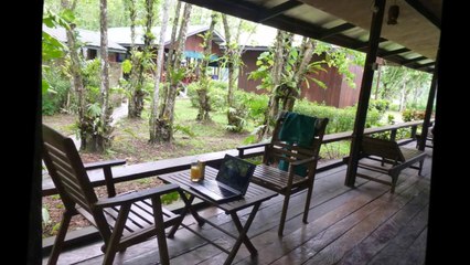 RIVER KINABATANGAN BORNEO 1.