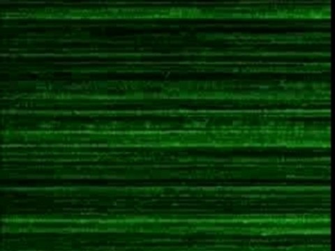 Bérurier noir descendons dans la rue