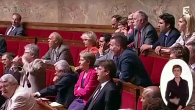 Cécile Duflot s'effondre en larmes à l'Assemblée