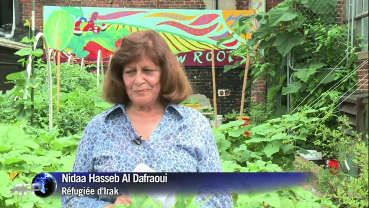 Des potagers mis à disposition des réfugiés aux Etats-Unis