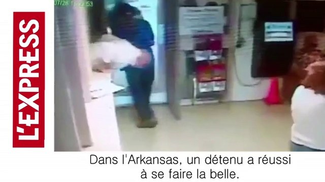 Le zapping insolite de la semaine